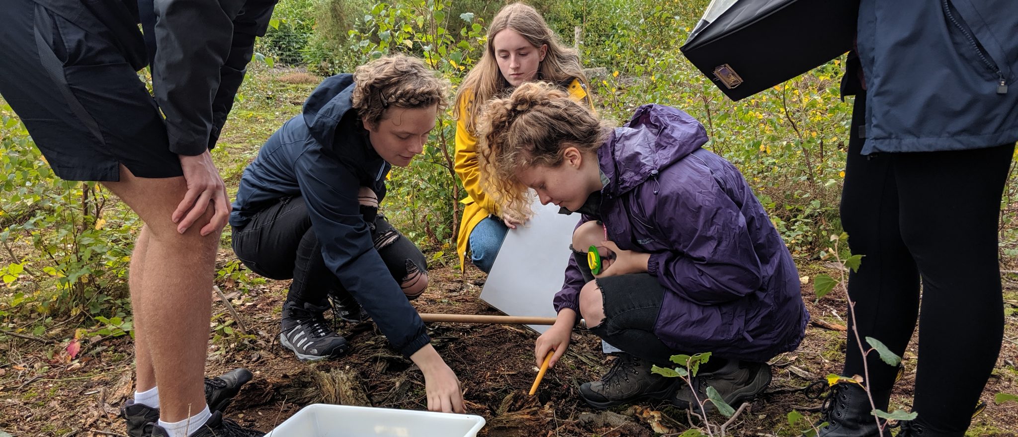 Students Learn About Fieldwork Collyer s