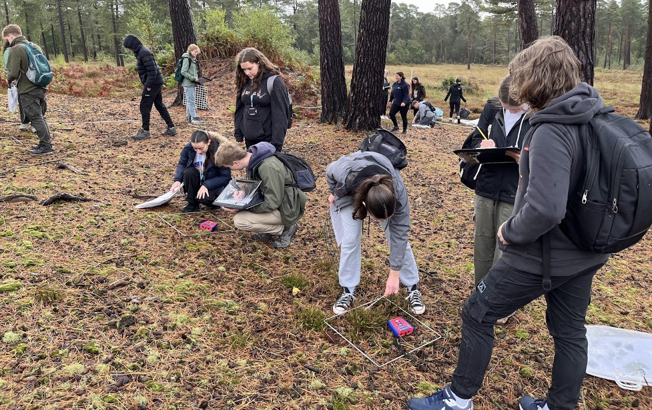 Students Enjoy Environmental Field Work